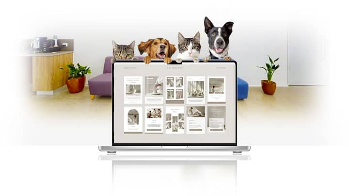 Creazione siti web veterinari